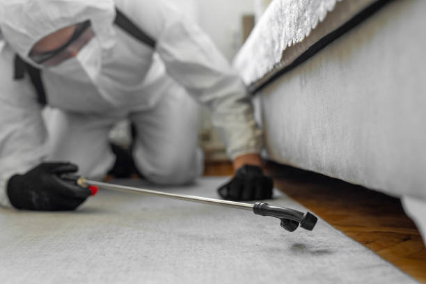 Professional Ant Control technician working in Hustisford, WI