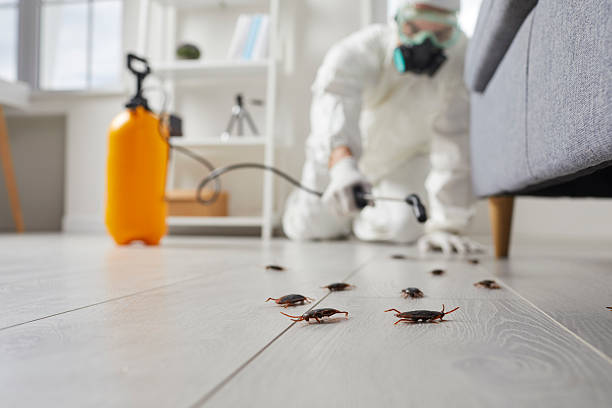 Trusted Termite Control service in Hustisford, WI - Nex Pest Control